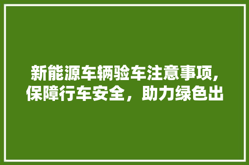 新能源车辆验车注意事项,保障行车安全，助力绿色出行