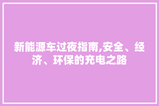 新能源车过夜指南,安全、经济、环保的充电之路 发动机配件
