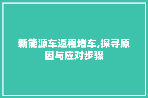 新能源车返程堵车,探寻原因与应对步骤