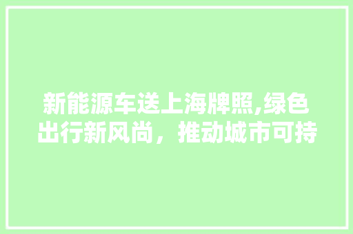 新能源车送上海牌照,绿色出行新风尚，推动城市可持续发展