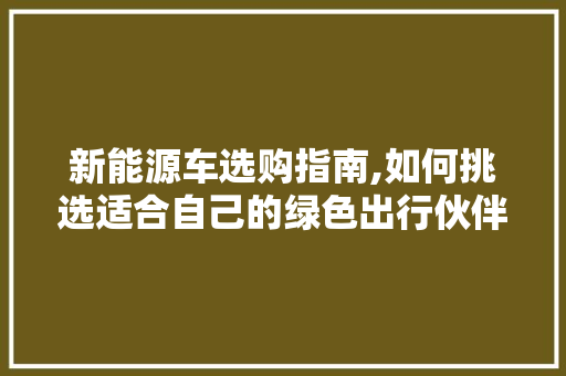 新能源车选购指南,如何挑选适合自己的绿色出行伙伴