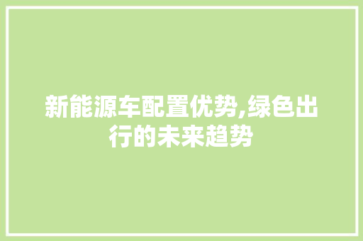 新能源车配置优势,绿色出行的未来趋势