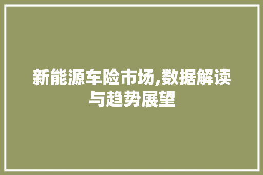 新能源车险市场,数据解读与趋势展望
