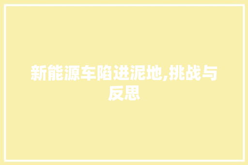 新能源车陷进泥地,挑战与反思
