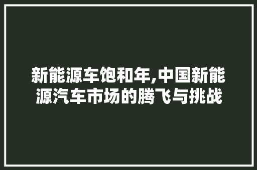 新能源车饱和年,中国新能源汽车市场的腾飞与挑战 底盘配件