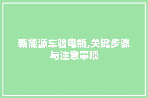 新能源车验电瓶,关键步骤与注意事项