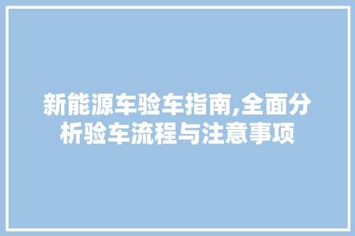 新能源车验车指南,全面分析验车流程与注意事项