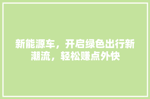 新能源车，开启绿色出行新潮流，轻松赚点外快