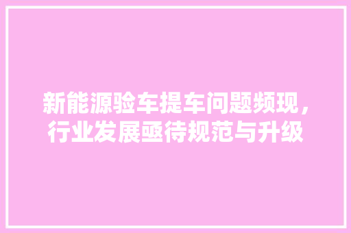 新能源验车提车问题频现，行业发展亟待规范与升级