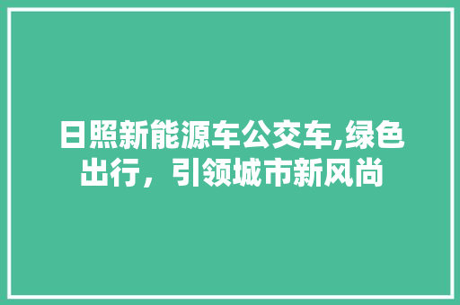 日照新能源车公交车,绿色出行，引领城市新风尚