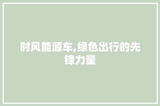 时风能源车,绿色出行的先锋力量