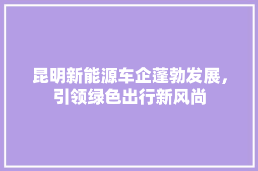昆明新能源车企蓬勃发展，引领绿色出行新风尚