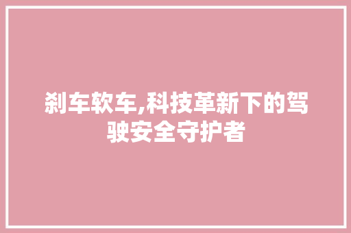 刹车软车,科技革新下的驾驶安全守护者