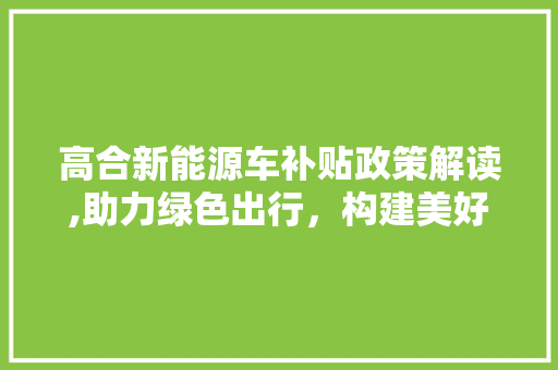 高合新能源车补贴政策解读,助力绿色出行，构建美好未来