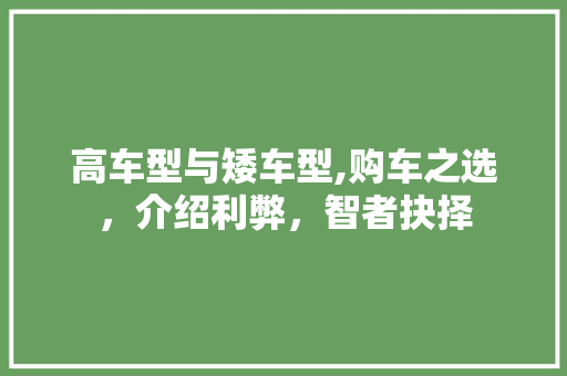 高车型与矮车型,购车之选，介绍利弊，智者抉择