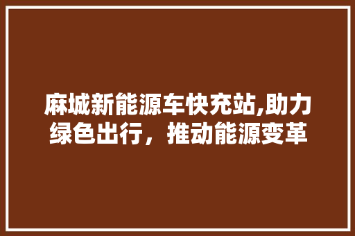 麻城新能源车快充站,助力绿色出行，推动能源变革