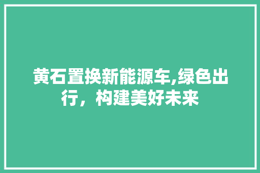 黄石置换新能源车,绿色出行，构建美好未来 蓄电池配件