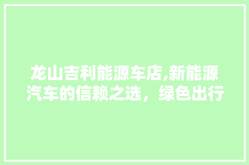 龙山吉利能源车店,新能源汽车的信赖之选，绿色出行新体验