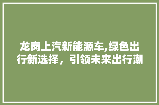 龙岗上汽新能源车,绿色出行新选择，引领未来出行潮流 蓄电池配件