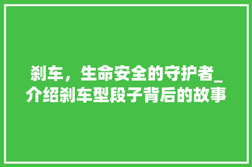 刹车，生命安全的守护者_介绍刹车型段子背后的故事