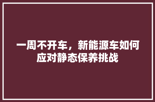一周不开车，新能源车如何应对静态保养挑战