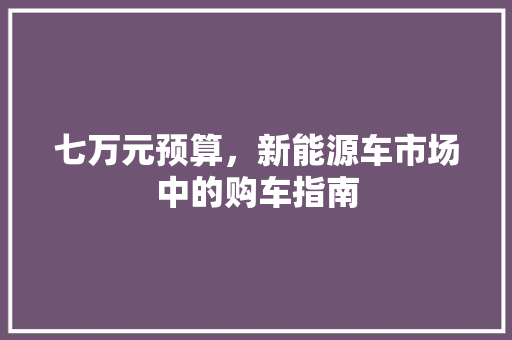七万元预算，新能源车市场中的购车指南