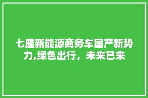 七座新能源商务车国产新势力,绿色出行，未来已来