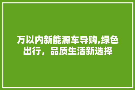 万以内新能源车导购,绿色出行，品质生活新选择