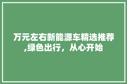 万元左右新能源车精选推荐,绿色出行，从心开始