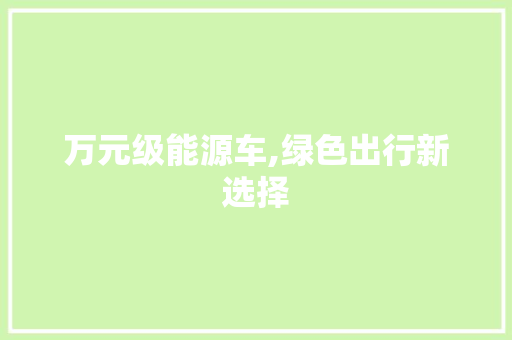 万元级能源车,绿色出行新选择 蓄电池配件