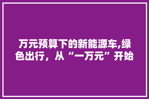 万元预算下的新能源车,绿色出行，从“一万元”开始
