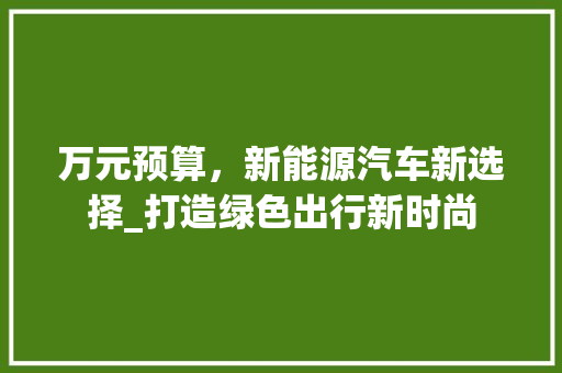 万元预算，新能源汽车新选择_打造绿色出行新时尚