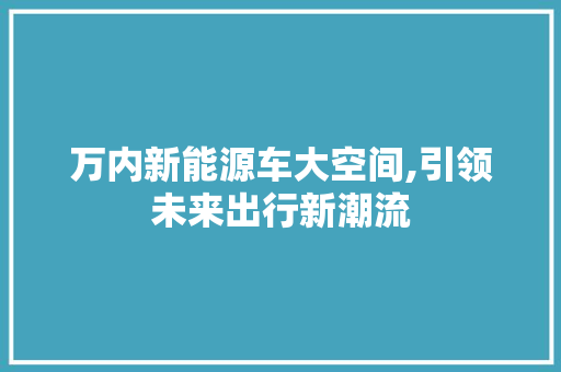 万内新能源车大空间,引领未来出行新潮流