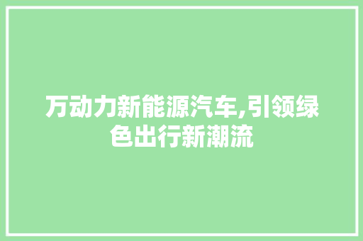 万动力新能源汽车,引领绿色出行新潮流 蓄电池配件