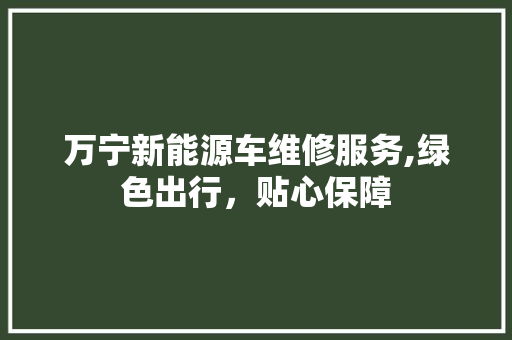 万宁新能源车维修服务,绿色出行，贴心保障