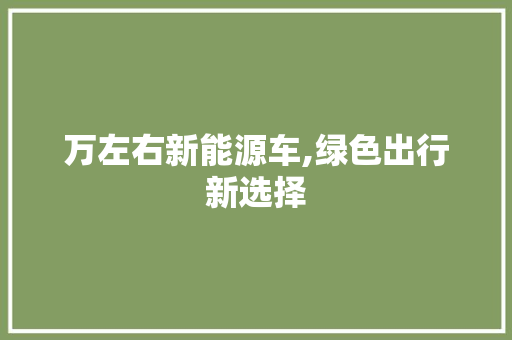 万左右新能源车,绿色出行新选择