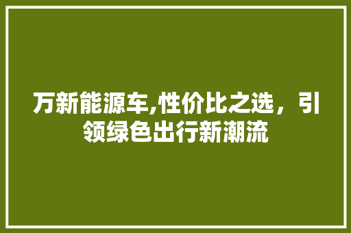 万新能源车,性价比之选，引领绿色出行新潮流