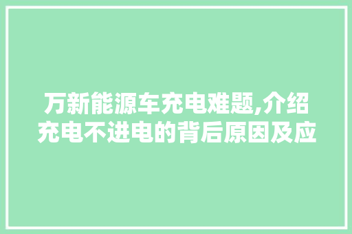 万新能源车充电难题,介绍充电不进电的背后原因及应对步骤