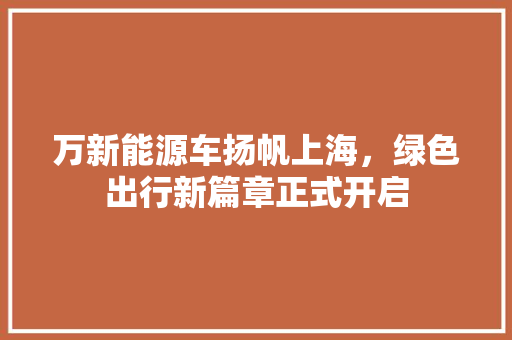 万新能源车扬帆上海，绿色出行新篇章正式开启