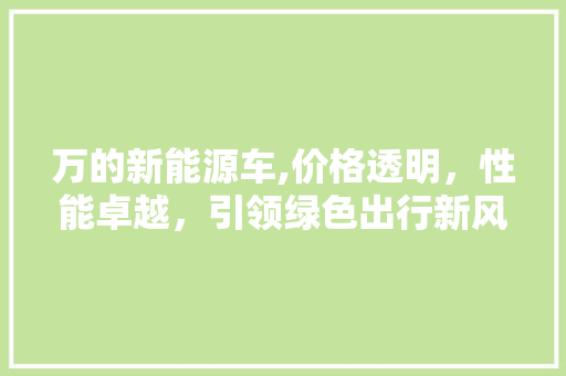 万的新能源车,价格透明，性能卓越，引领绿色出行新风尚