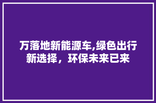 万落地新能源车,绿色出行新选择，环保未来已来