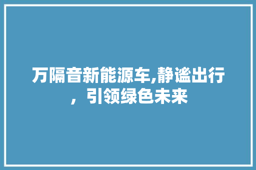 万隔音新能源车,静谧出行，引领绿色未来