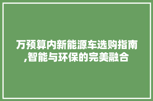 万预算内新能源车选购指南,智能与环保的完美融合