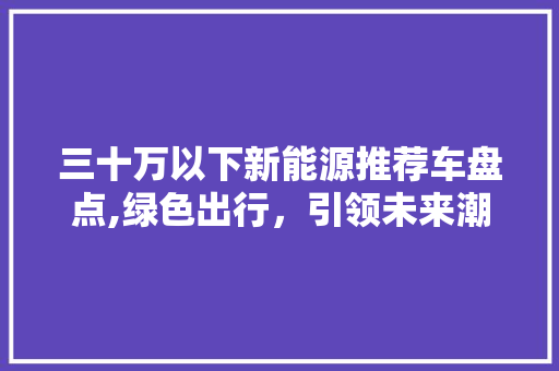 三十万以下新能源推荐车盘点,绿色出行，引领未来潮流