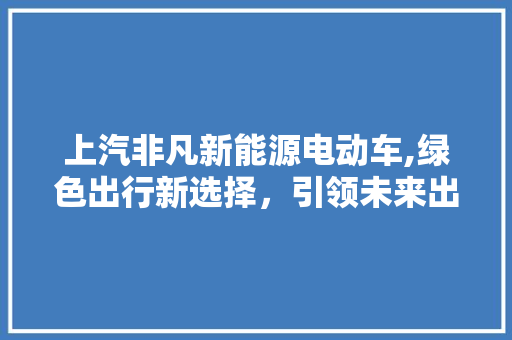 上汽非凡新能源电动车,绿色出行新选择，引领未来出行潮流 蓄电池配件