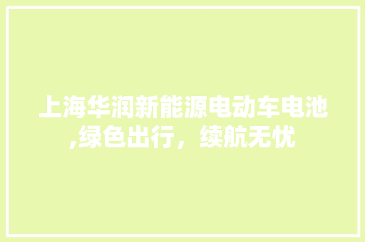 上海华润新能源电动车电池,绿色出行，续航无忧