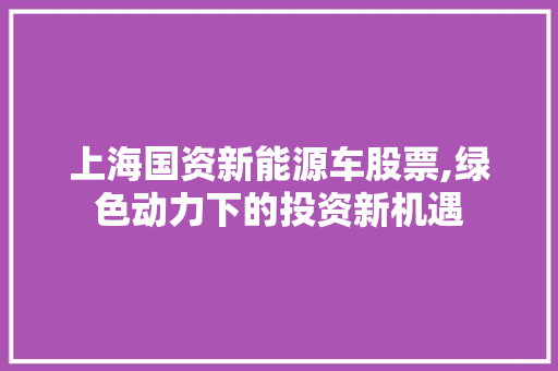 上海国资新能源车股票,绿色动力下的投资新机遇 车身配件