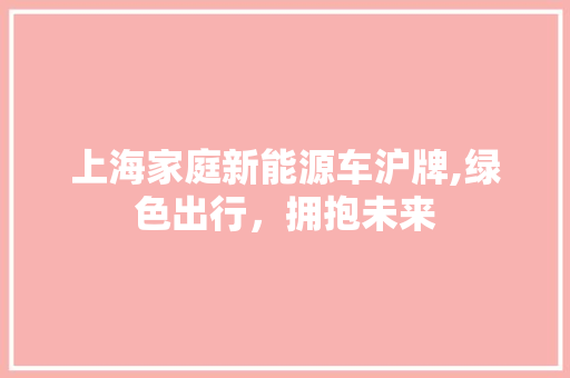 上海家庭新能源车沪牌,绿色出行，拥抱未来