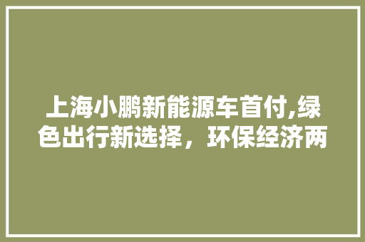 上海小鹏新能源车首付,绿色出行新选择，环保经济两不误 蓄电池配件