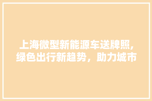 上海微型新能源车送牌照,绿色出行新趋势，助力城市可持续发展